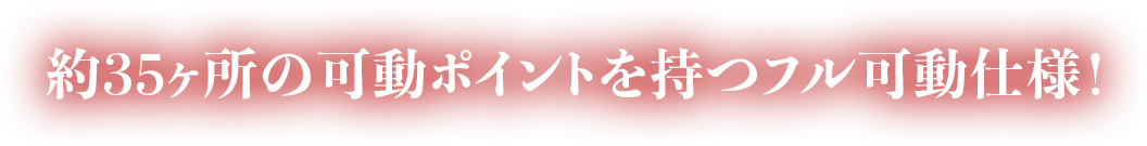 約35ヶ所の可動ポイントを持つフル可動仕様！