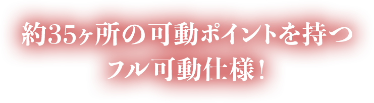 約35ヶ所の可動ポイントを持つフル可動仕様！