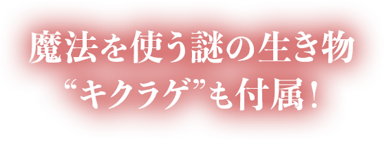 魔法を使う謎の生き物“キクラゲ”も付属！