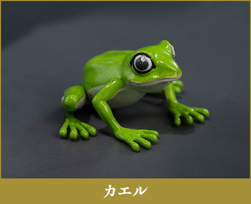 カエル